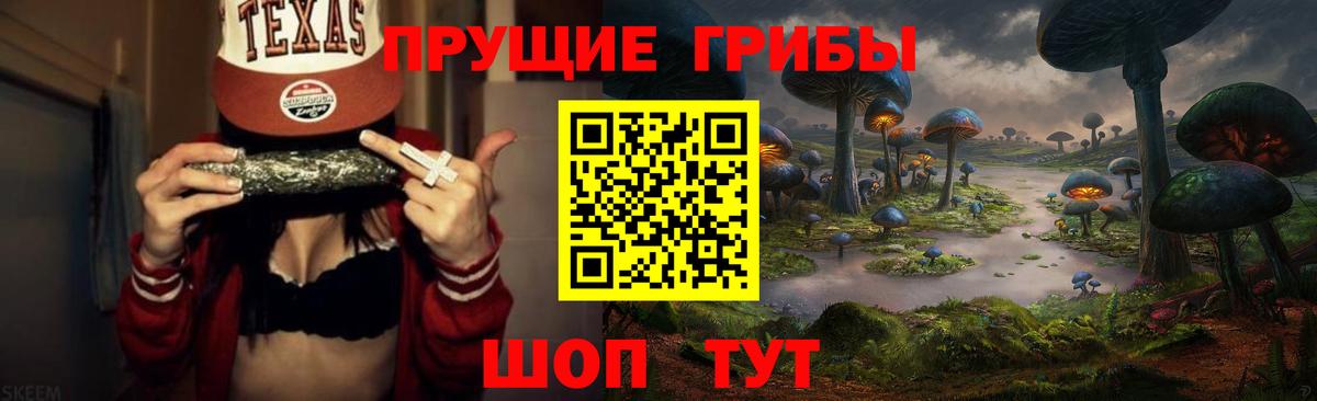 Галлюциногенные грибы Psilocybine cubensis  Галлюциногенные грибы Psilocybe  Гусиноозёрск  Вход с VPN 