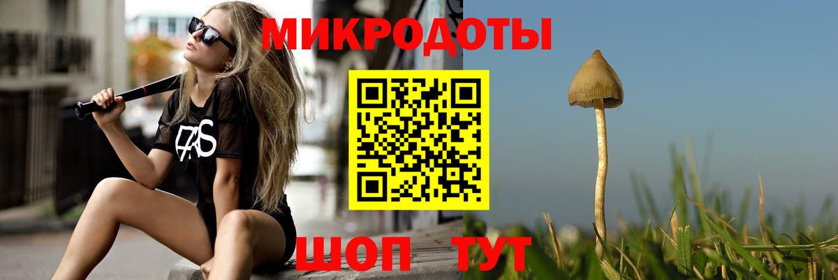 Псилоцибиновые грибы мицелий Гусиноозёрск